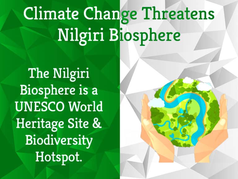 Climate Change threatens Nilgiri Biosphere | Greensutra | India
