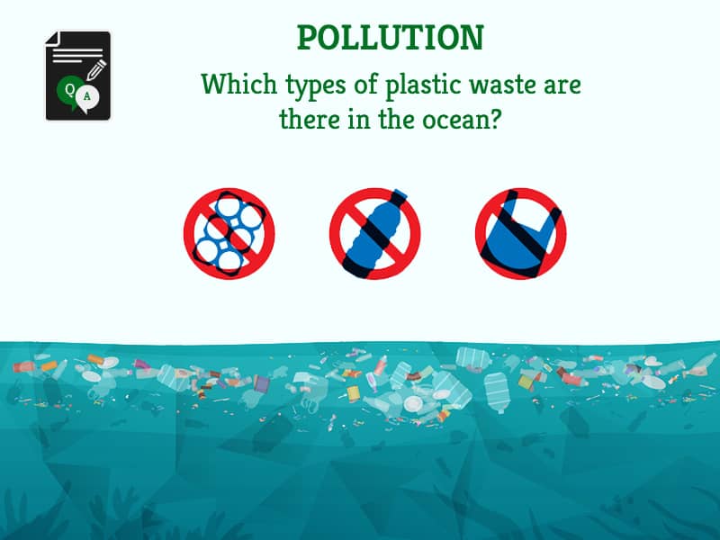 Which types of plastic waste are there in the ocean? - GreenSutra®