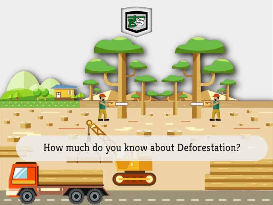 Deforestation by GreenSutra | Mumbai | India