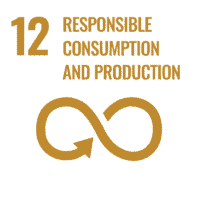 SDG_Icons_Inverted_Transparent_WEB-12-200x200.png?img_width=200&img_height=200