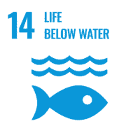 SDG_Icons_Inverted_Transparent_WEB-14-200x200.png?img_width=200&img_height=200