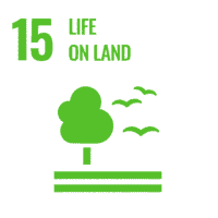 SDG_Icons_Inverted_Transparent_WEB-15-200x200.png?img_width=200&img_height=200