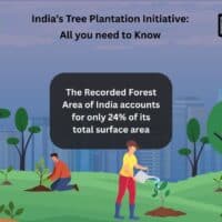 India’s Tree Plantation Initiative: All you need to Know 