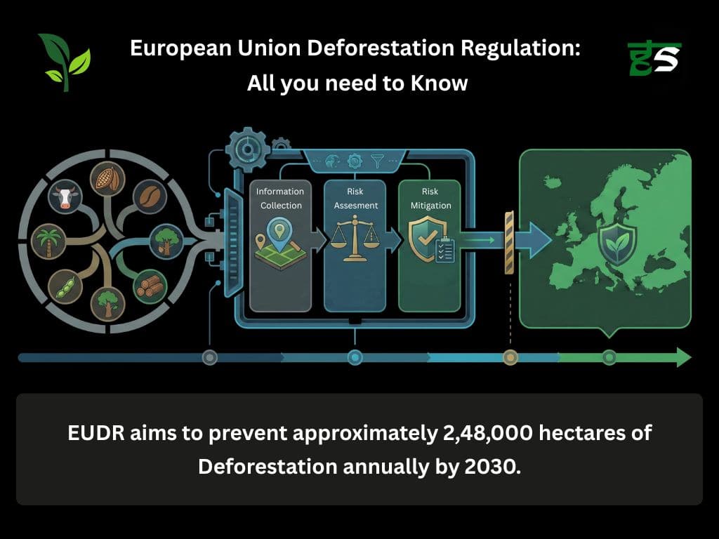 European Union Deforestation Regulation (EUDR): All you need to Know