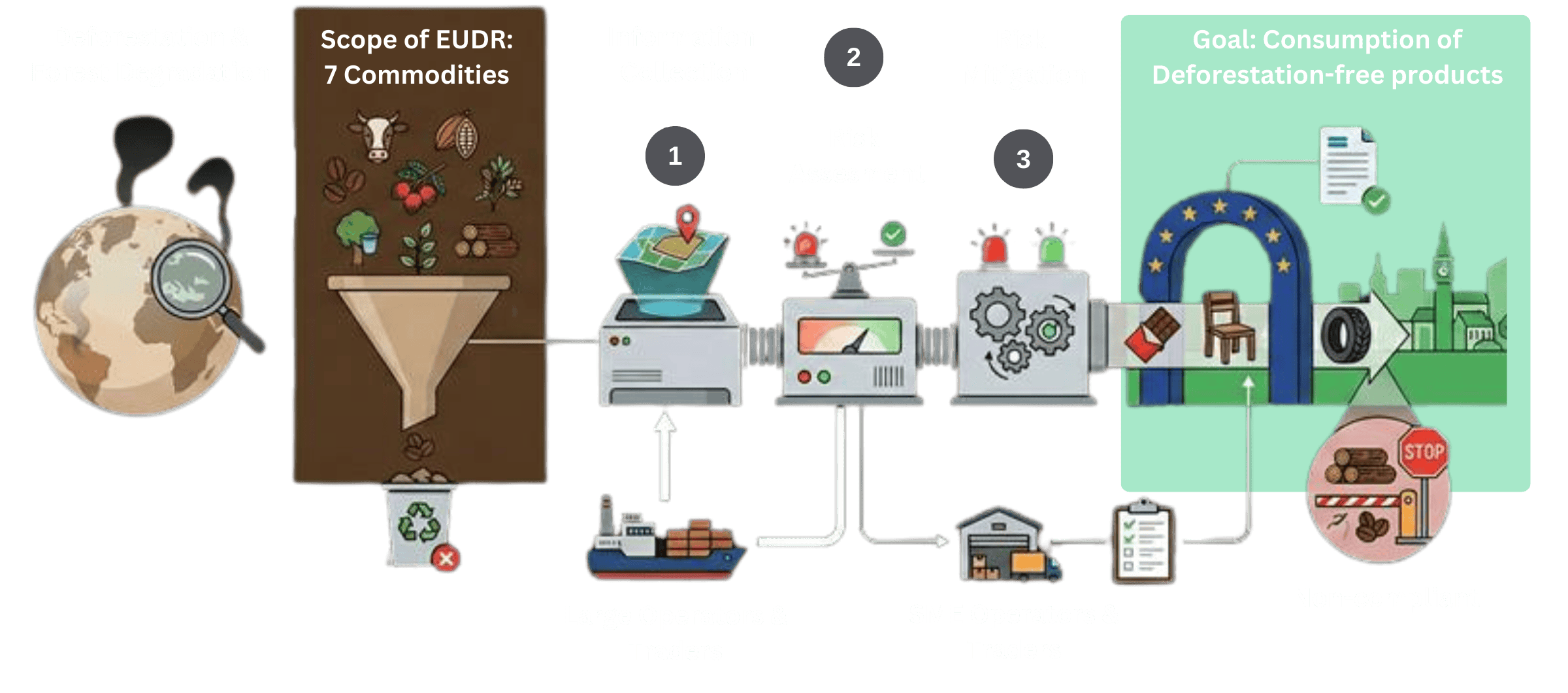 European Union Deforestation Regulation (EUDR): All you need to Know