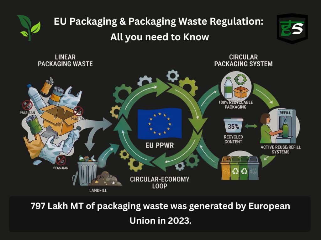 EU Packaging & Packaging Waste Regulation: All you need to Know