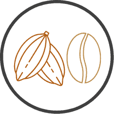 Learn about European Union Deforestation Regulation (EUDR)