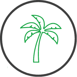 Learn about European Union Deforestation Regulation (EUDR)