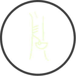 Learn about European Union Deforestation Regulation (EUDR)Learn about European Union Deforestation Regulation (EUDR)