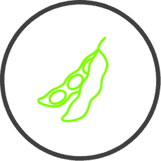 Learn about European Union Deforestation Regulation (EUDR)