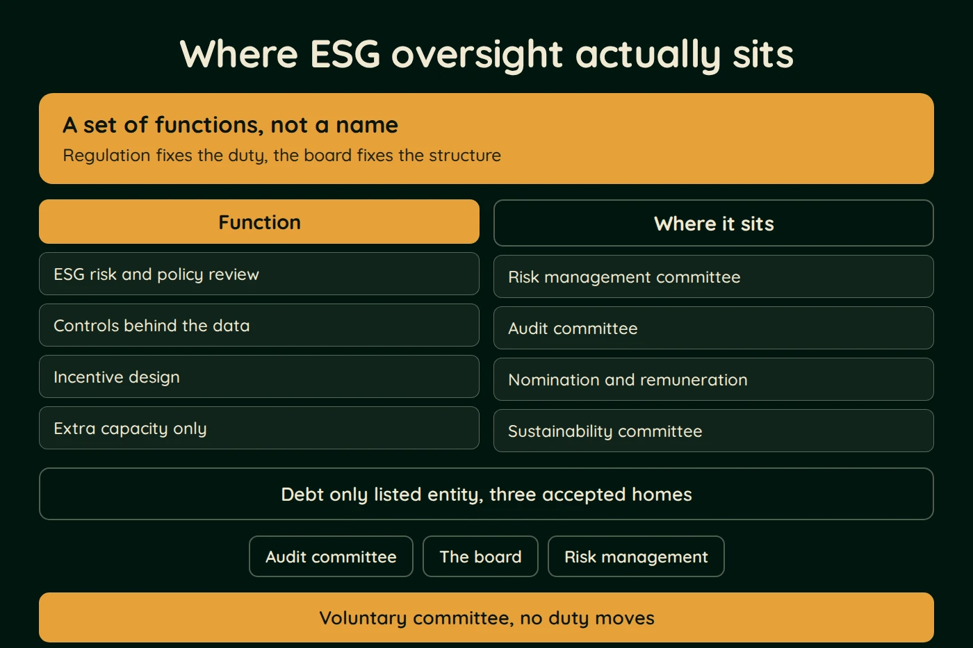 Diagram, Where ESG oversight actually sits. A set of functions, not a name (Regulation fixes the duty, the board fixes the structure). Function: ESG risk and policy review; Controls behind the data; Incentive design and more.