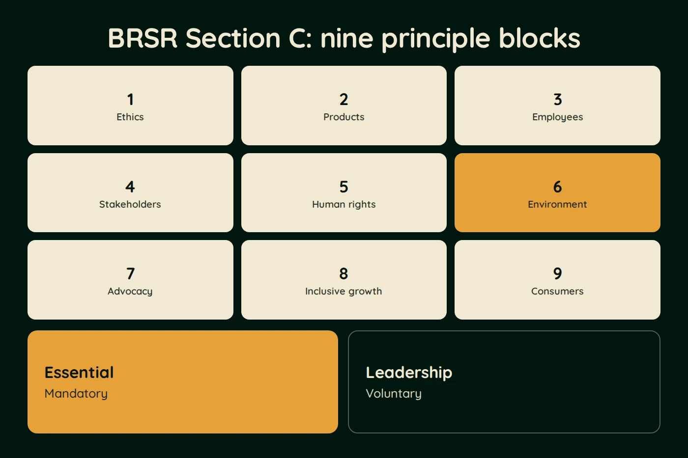 Diagram, BRSR Section C: nine principle blocks. nine numbered principle tiles, tile 6 highlighted. Ethics, Products, Employees, Stakeholders, Human rights, Environment, Advocacy, Inclusive growth, Consumers. Essential (Mandatory). Leadership (Voluntary)