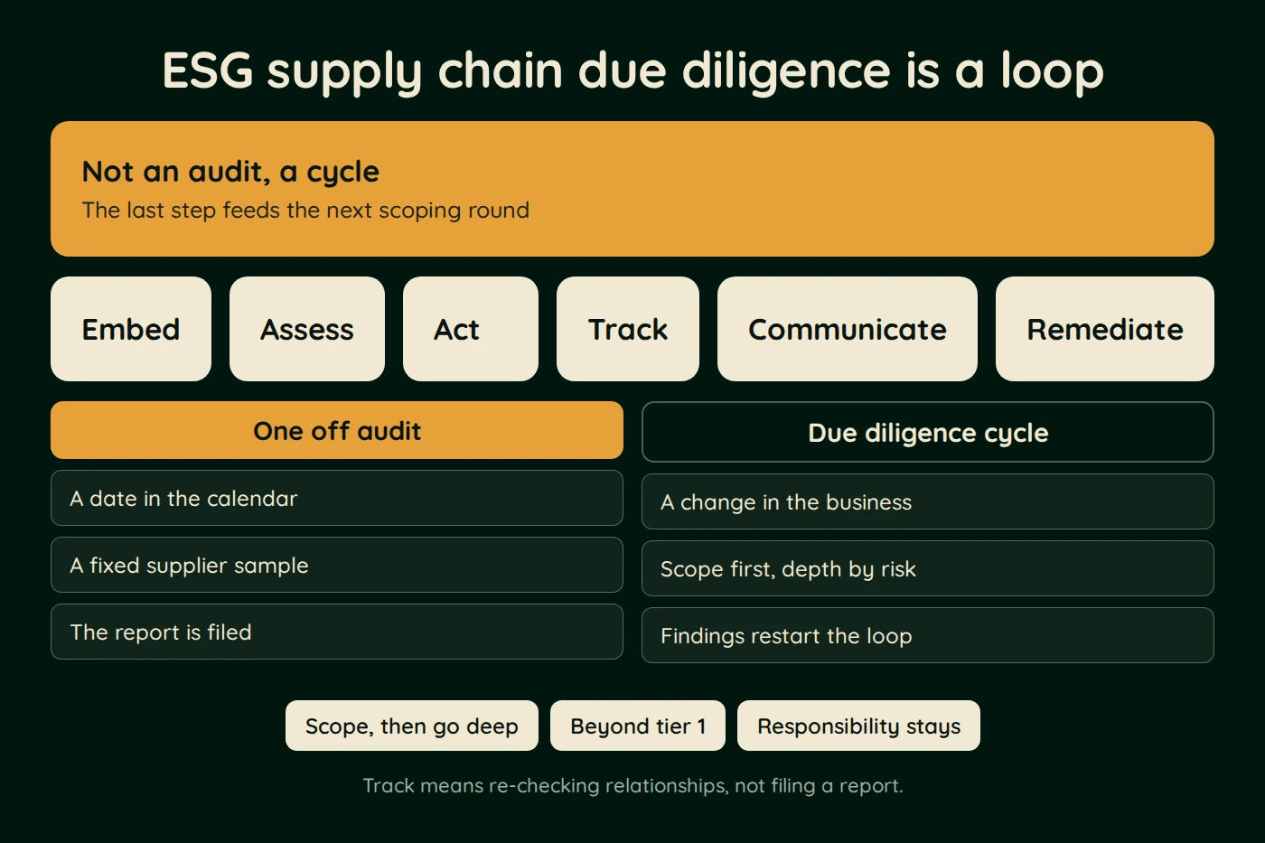 Diagram, ESG supply chain due diligence is a loop. Not an audit, a cycle (The last step feeds the next scoping round). Embed. Assess. Act. Track. Communicate. Remediate.