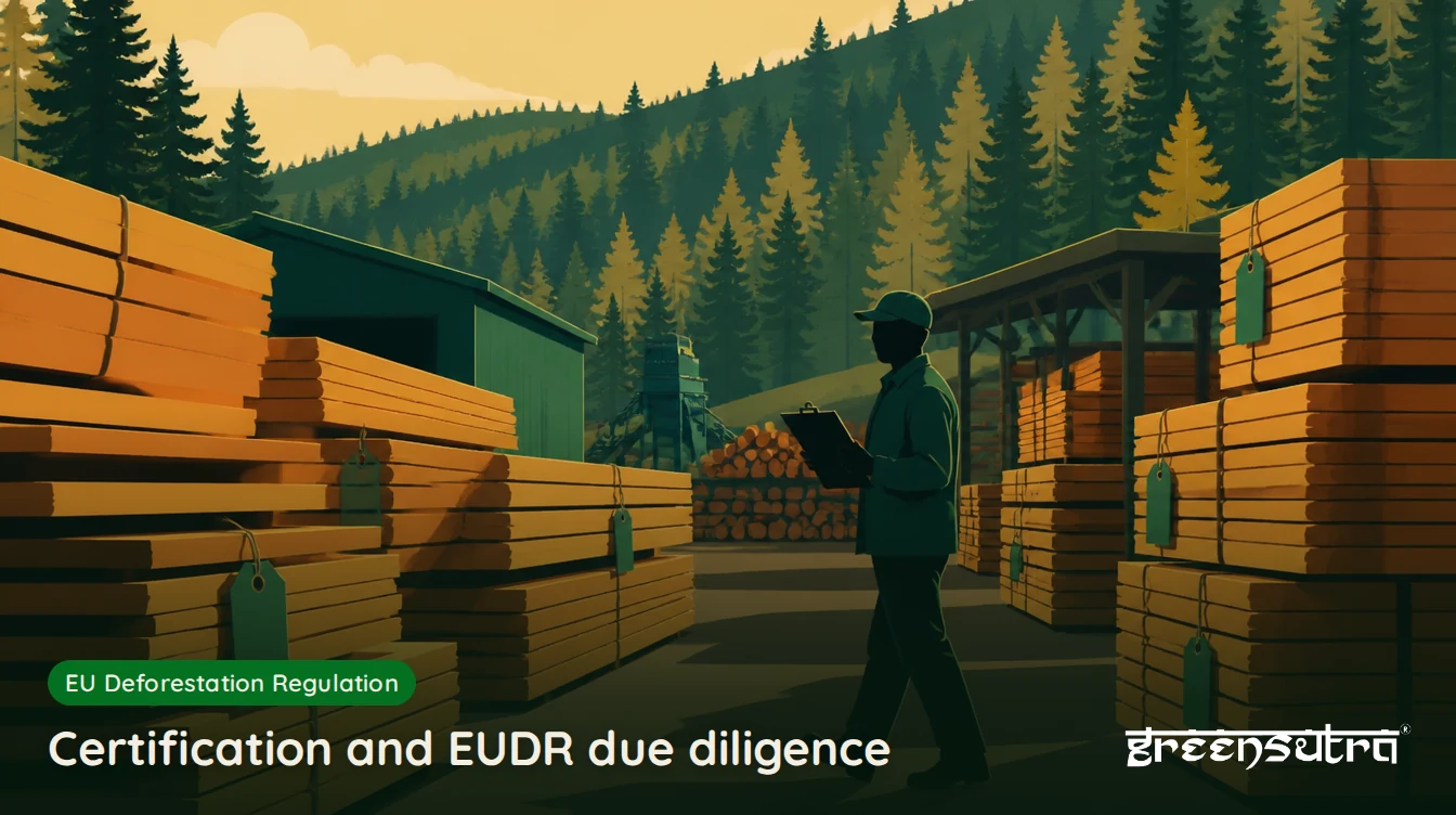 Certification and EUDR due diligence: a forest inspector walking between tagged stacks of sawn timber at a sawmill yard