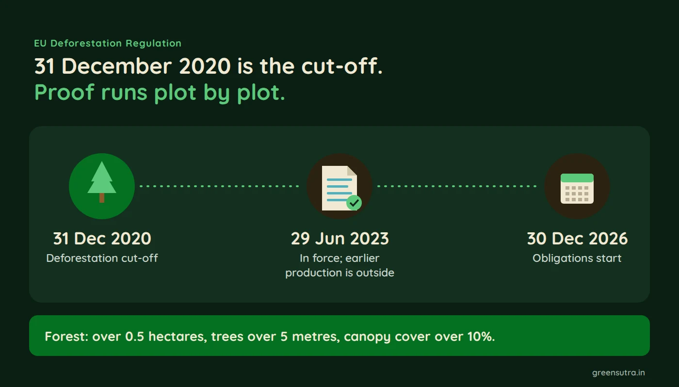 31 December 2020 is the cut-off. Proof runs plot by plot.