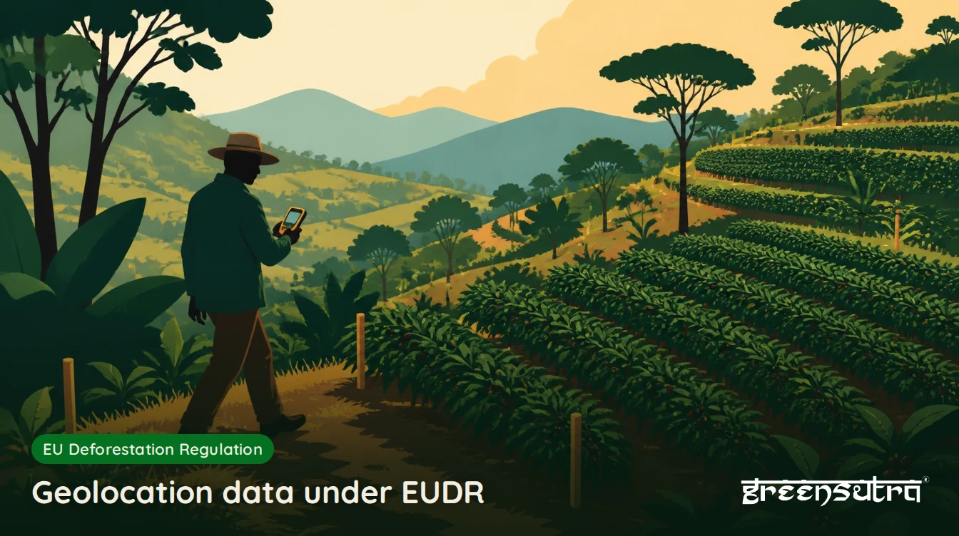 Geolocation data under EUDR: a surveyor with a handheld GPS device marking the corners of a terraced coffee plot
