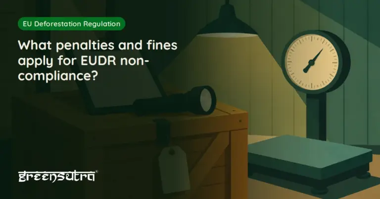 What penalties and fines apply for EUDR non-compliance?